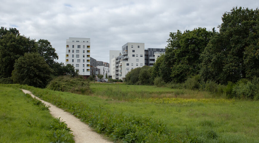 Beauregard, secteur parc champêtre et agriculture urbaine - Matthieu Chanel, 2020