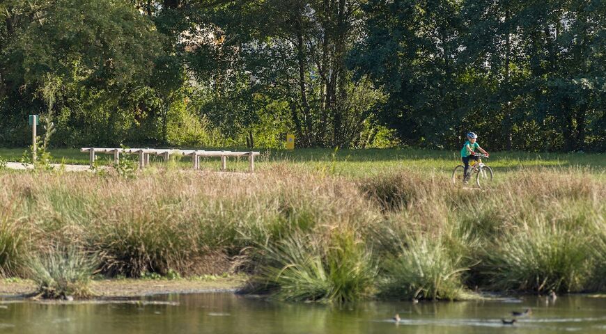 Les Prairies d'Orgères - rivière - Projet Territoires-Rennes